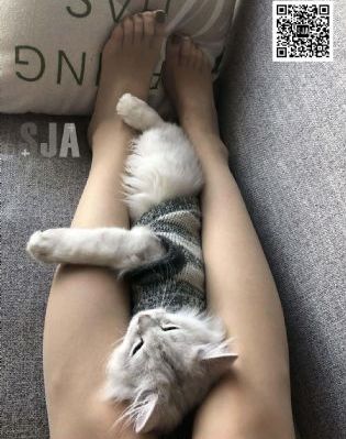 用我的指尖搅乱吧