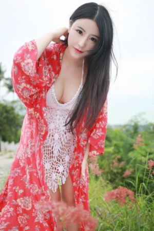 电视剧征服电视剧全集在线观看