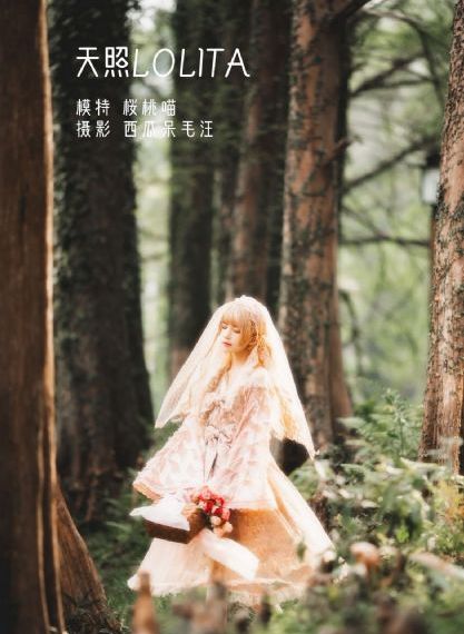像乌鸦一样思考