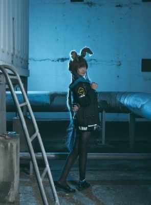 六个瑞典女人在阿尔卑斯山